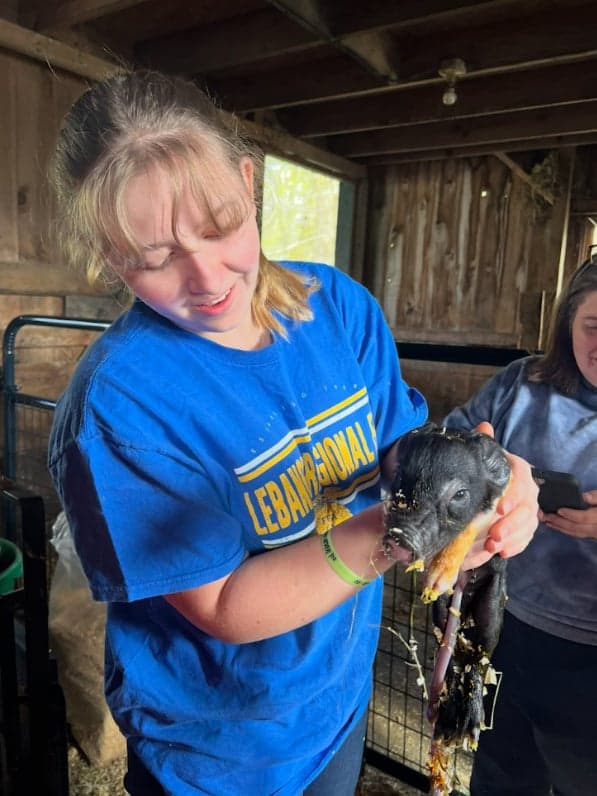 Risley holds a piglet after helping deliver it.