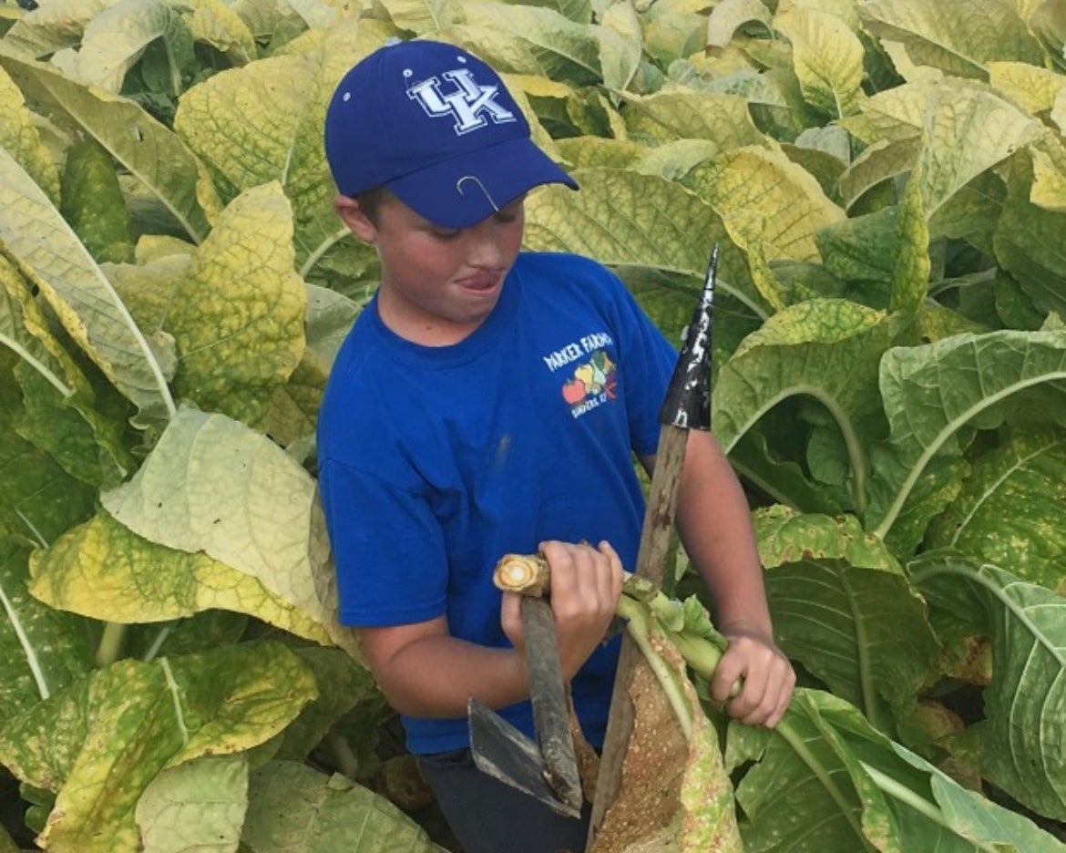 The Heart Behind the Harvest: Houston Parker