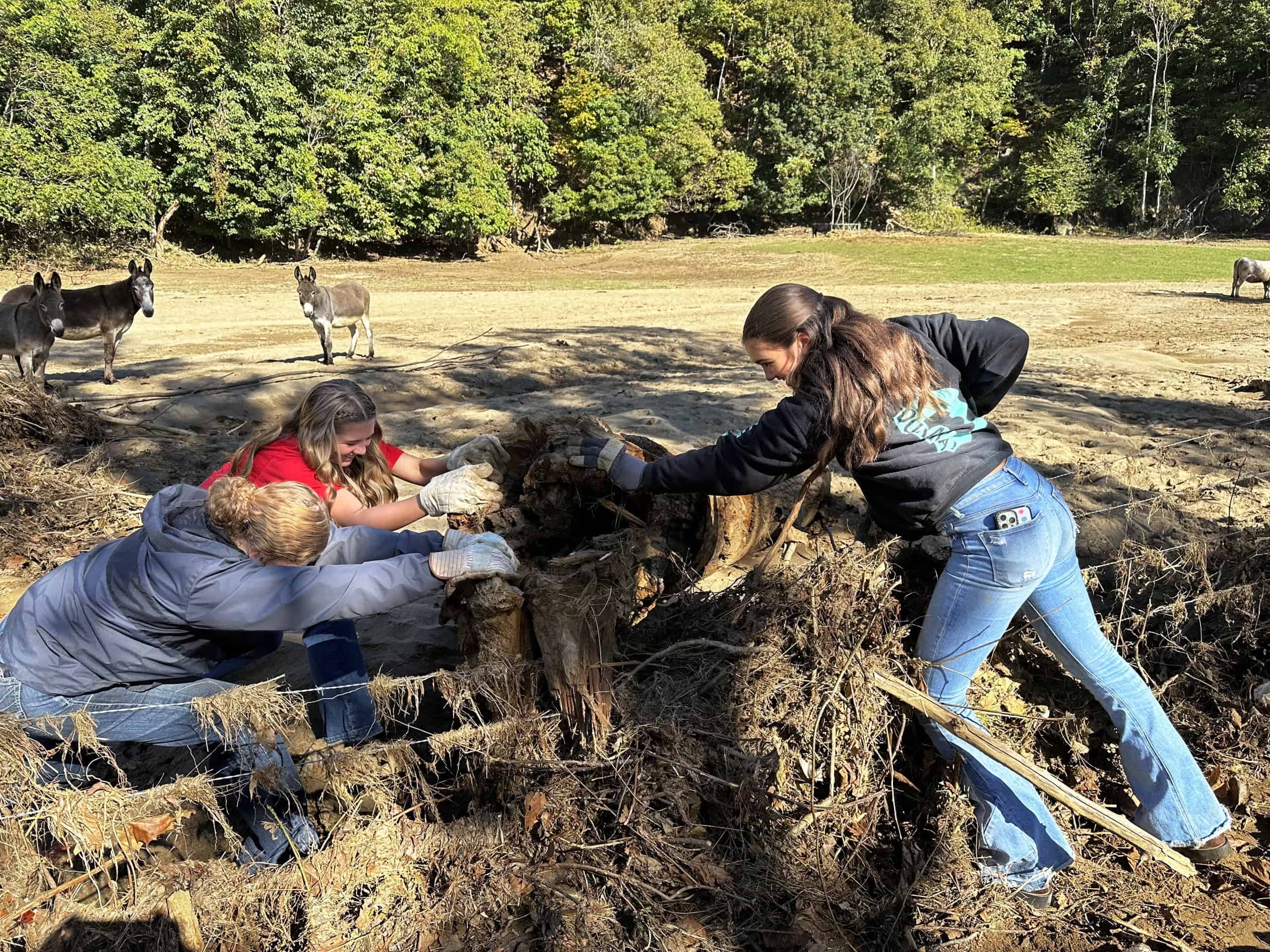 Service in the Storm: FFA Members Aid Flood Victims