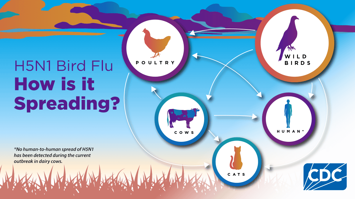 Was Your Turkey Missing At Thanksgiving?