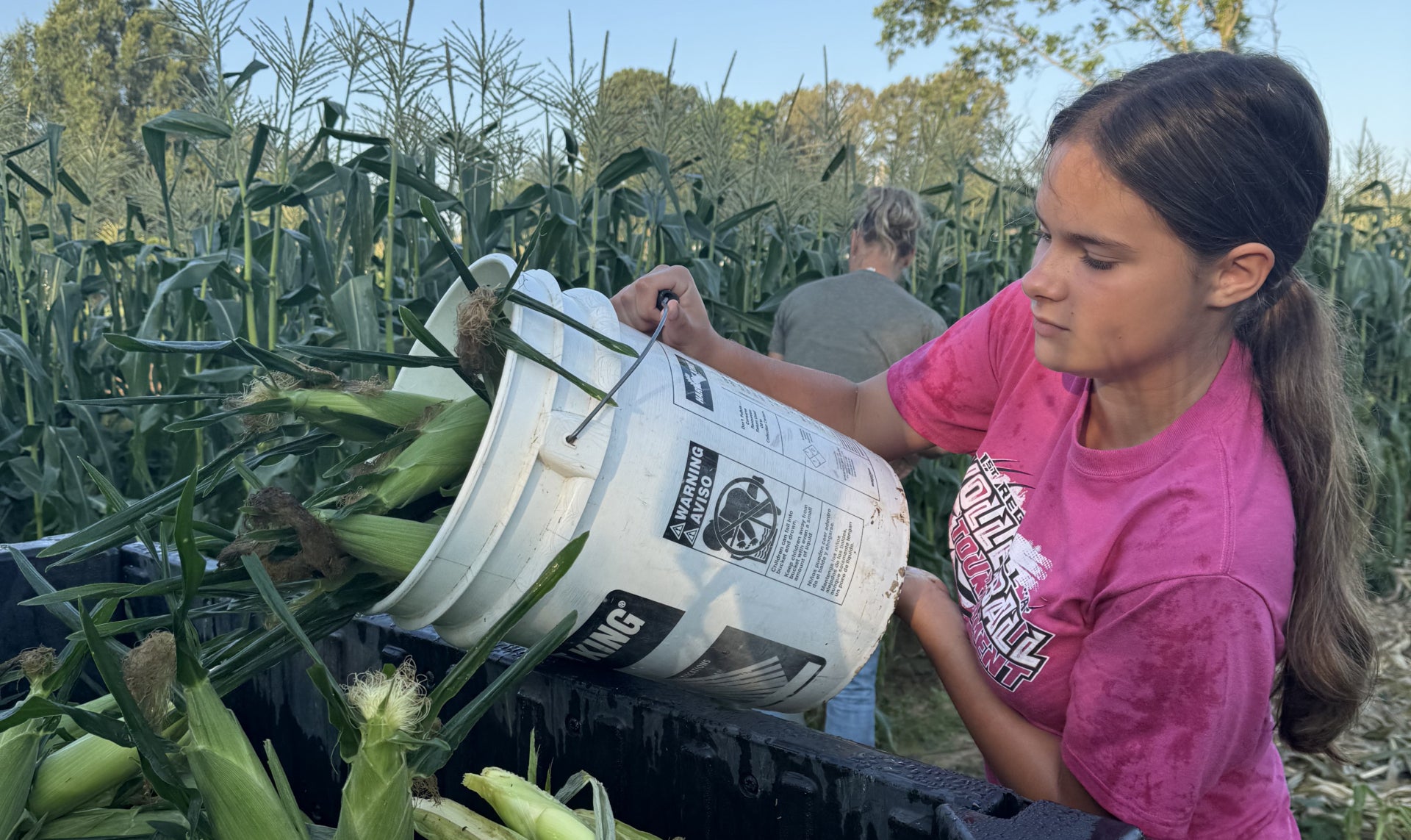 Rural Report Episode 2: Cultivating Success in an SAE