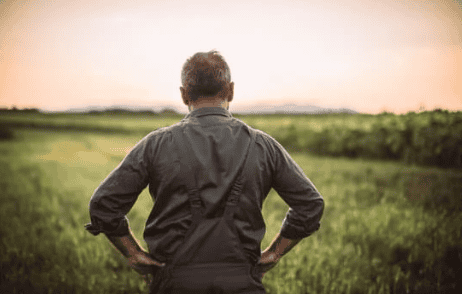 Behind the Quiet Fields