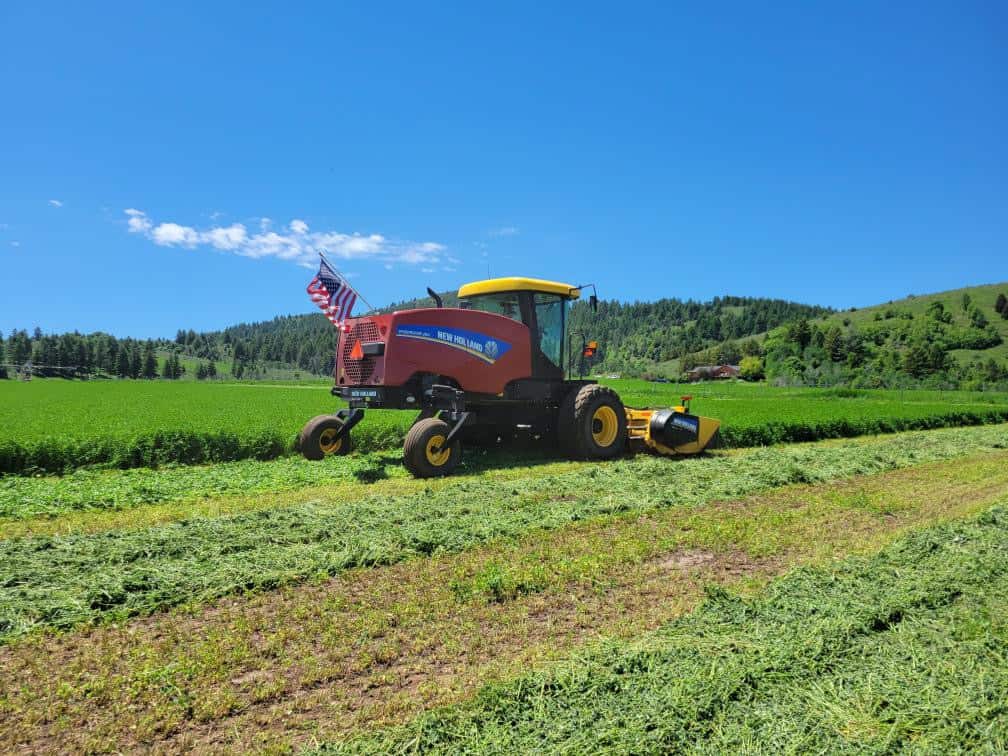 Rindlisbaker in her crop production project.