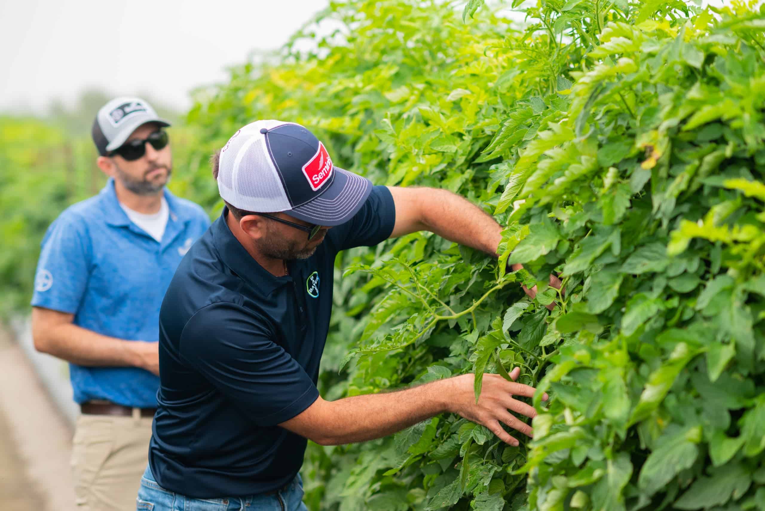 Ready! Set! Grow! Supporting FFA Chapters Through Hands-On Horticulture