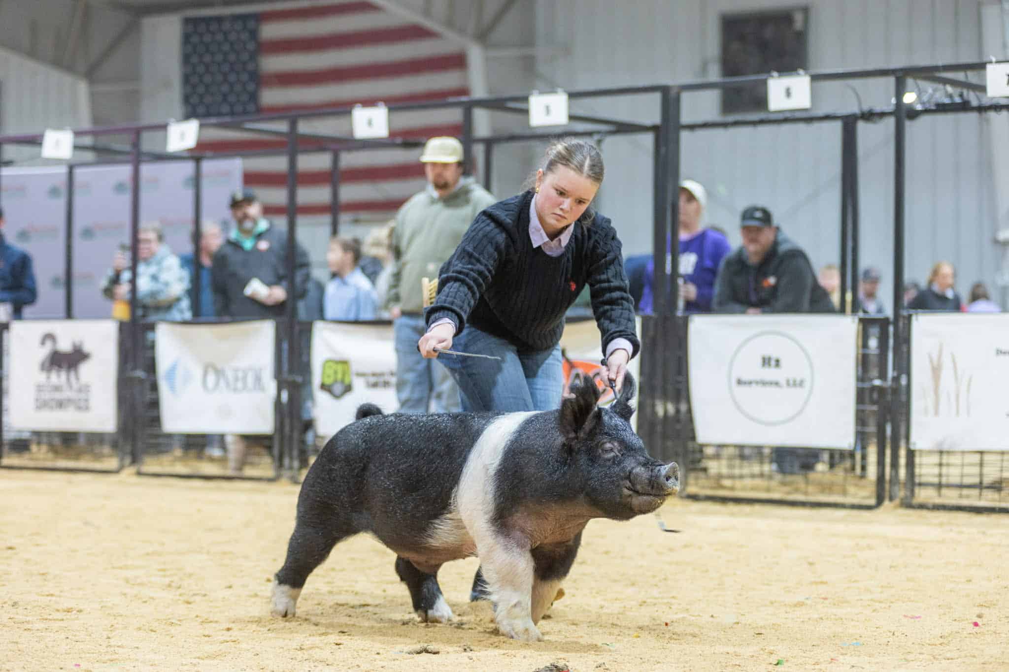 Staude Sisters Find Success at Jeff Beutler Memorial Swine Show