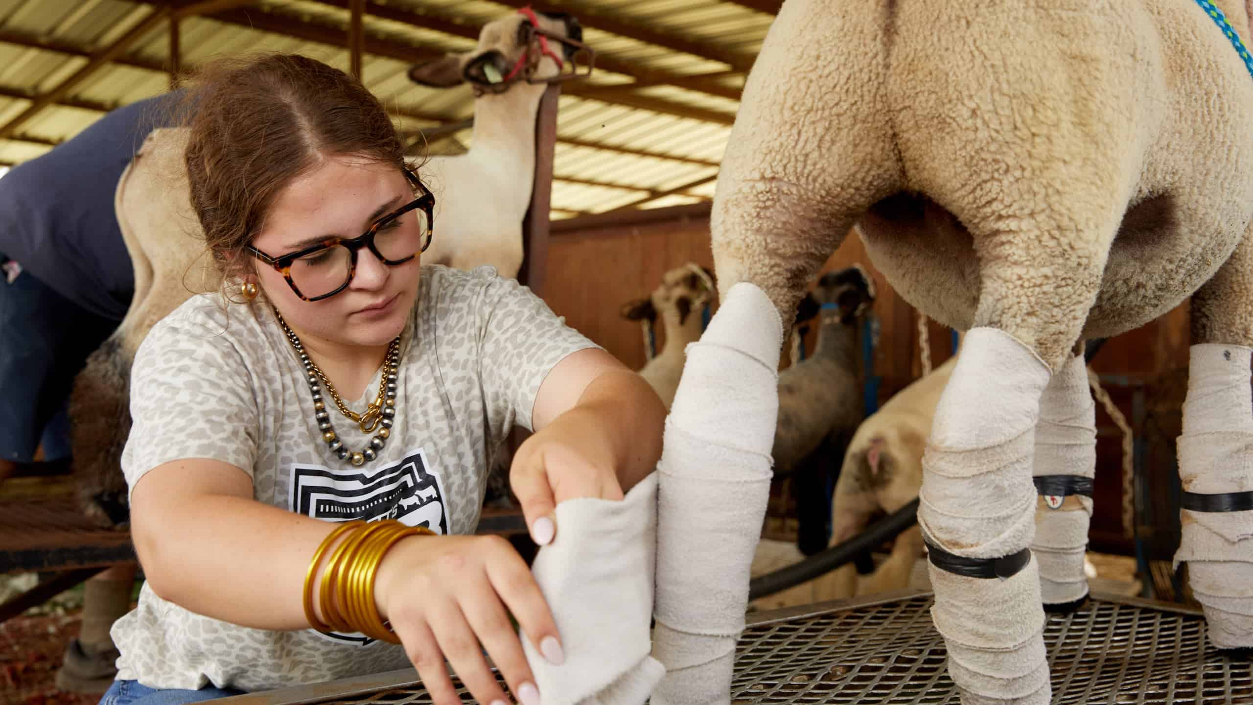 Career Avenues in Animal Science