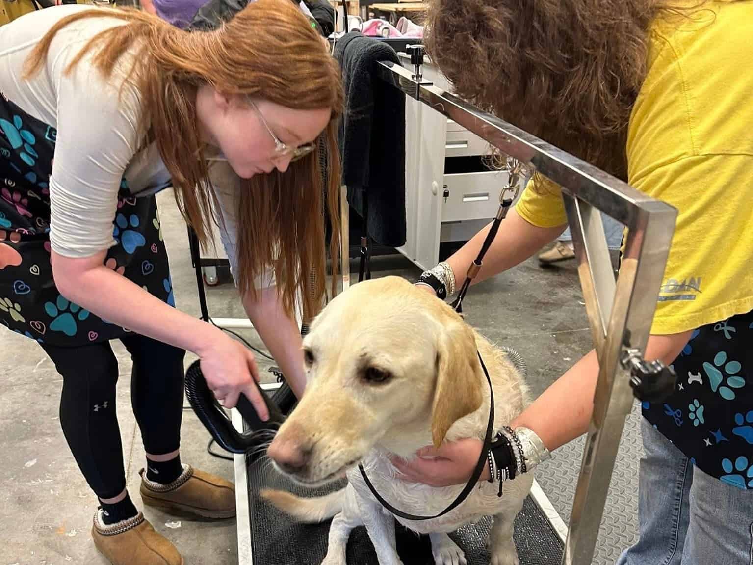 Students practice drying techniques using the new equipment.