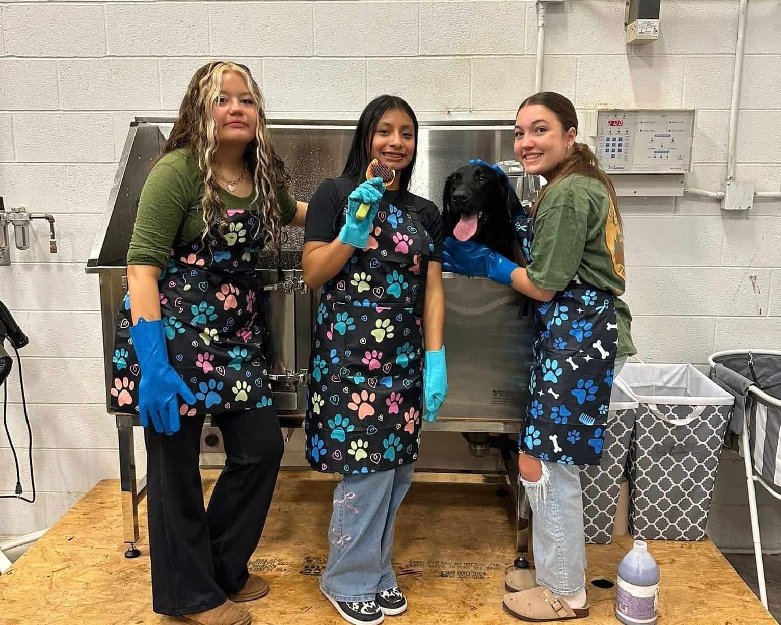 Monterey FFA Launches Student-Run Dog Grooming Business