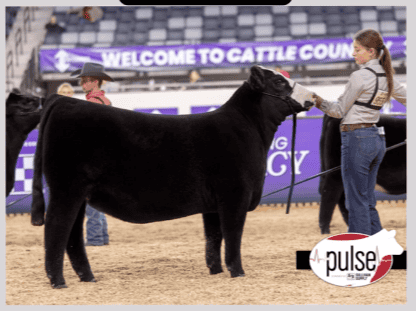 Olivia Jones shows at Cattlemen’s Congress. Photo by Next Level Images.