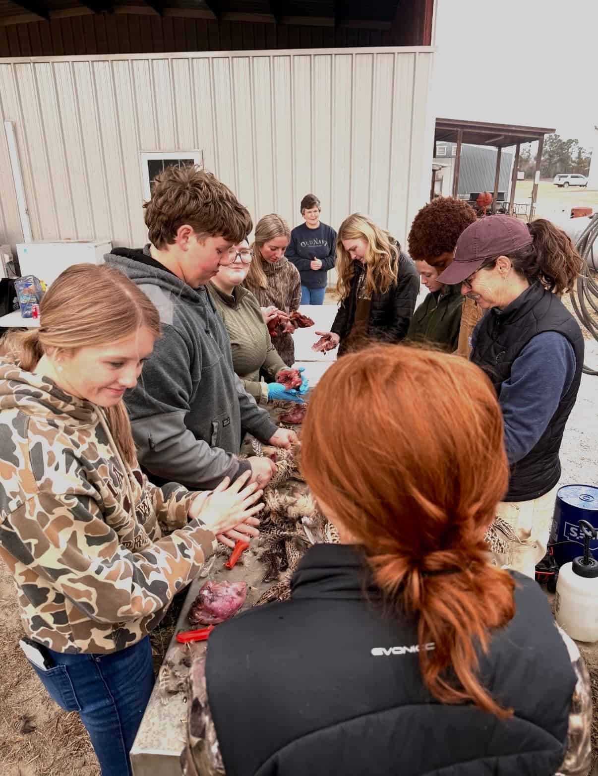 For A Great Cause: Screven County FFA Pheasant Hunt