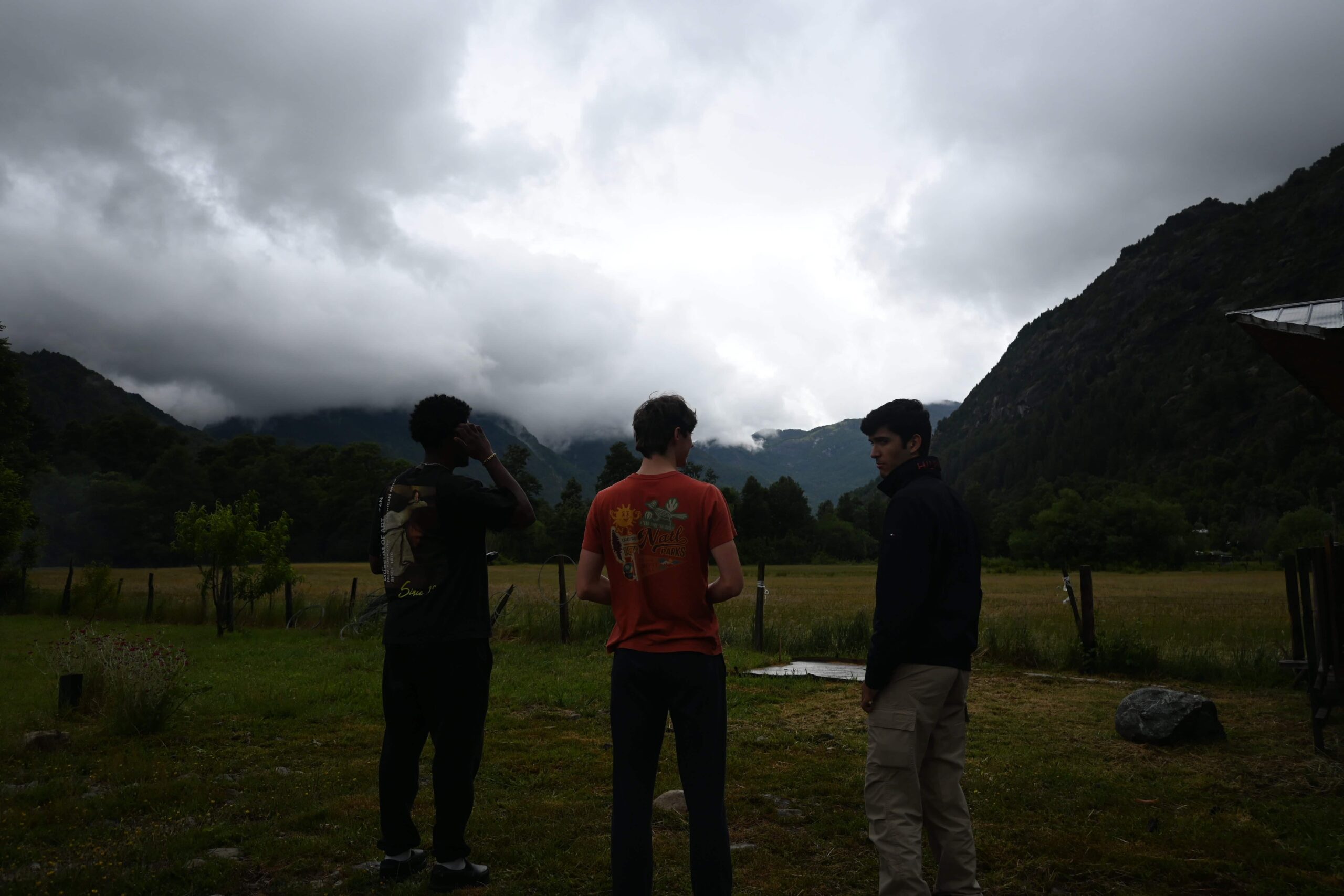 La vista del campo cuando llegamos por la primera vez/The view of the land when first arriving.