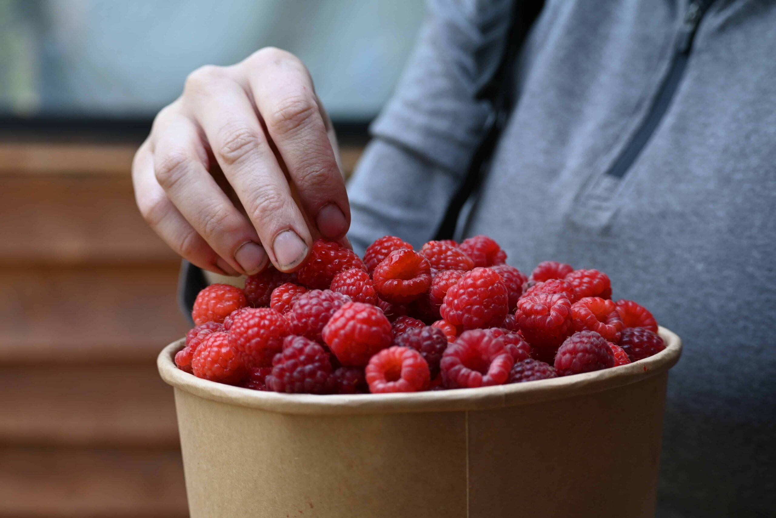 Frambuesas frescas que juntamos y comimos/Fresh raspberries we picked and ate.