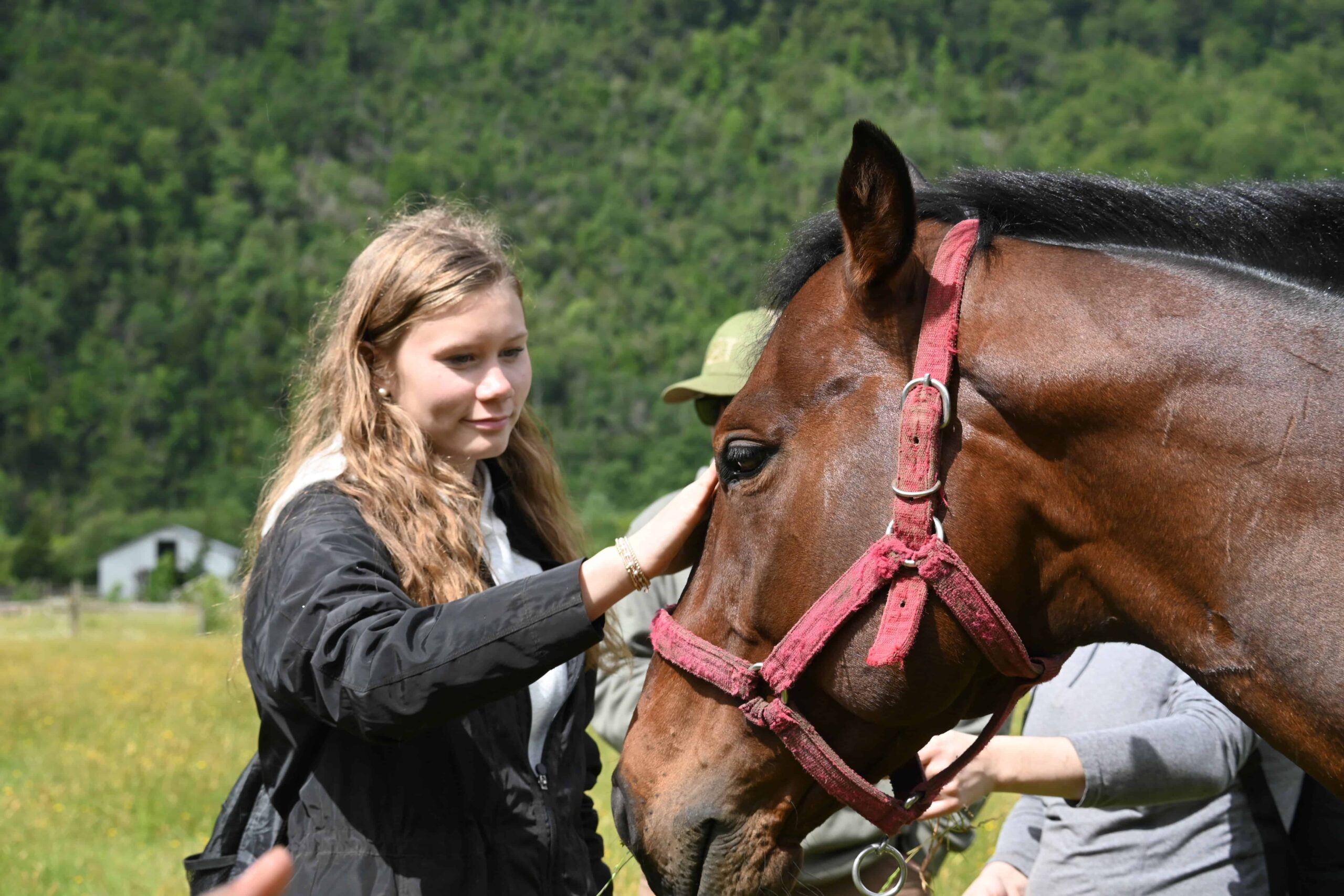 Tiempo con los animales del campo/Time spent with animals of the farm.