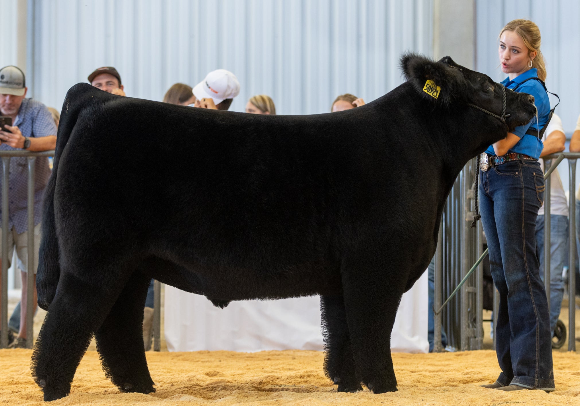 A Life Built in the Show Ring