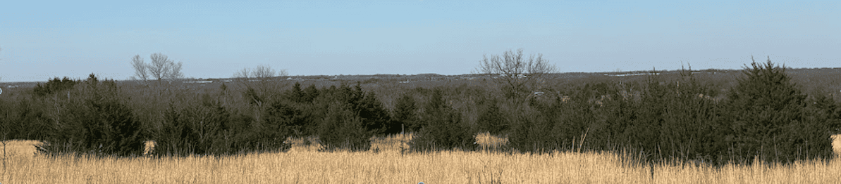 Edmond FFA Members Combat Invasive Cedar Trees