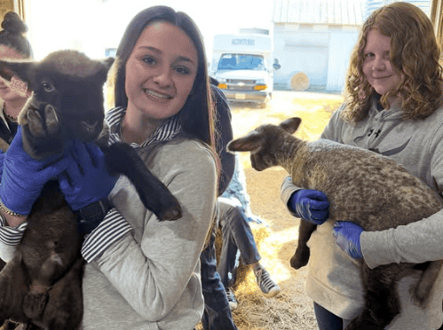 From Education to Application: Madison County FFA