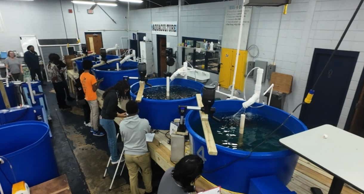 Creativity Meets Opportunity at Moss Point’s Aquaculture Program