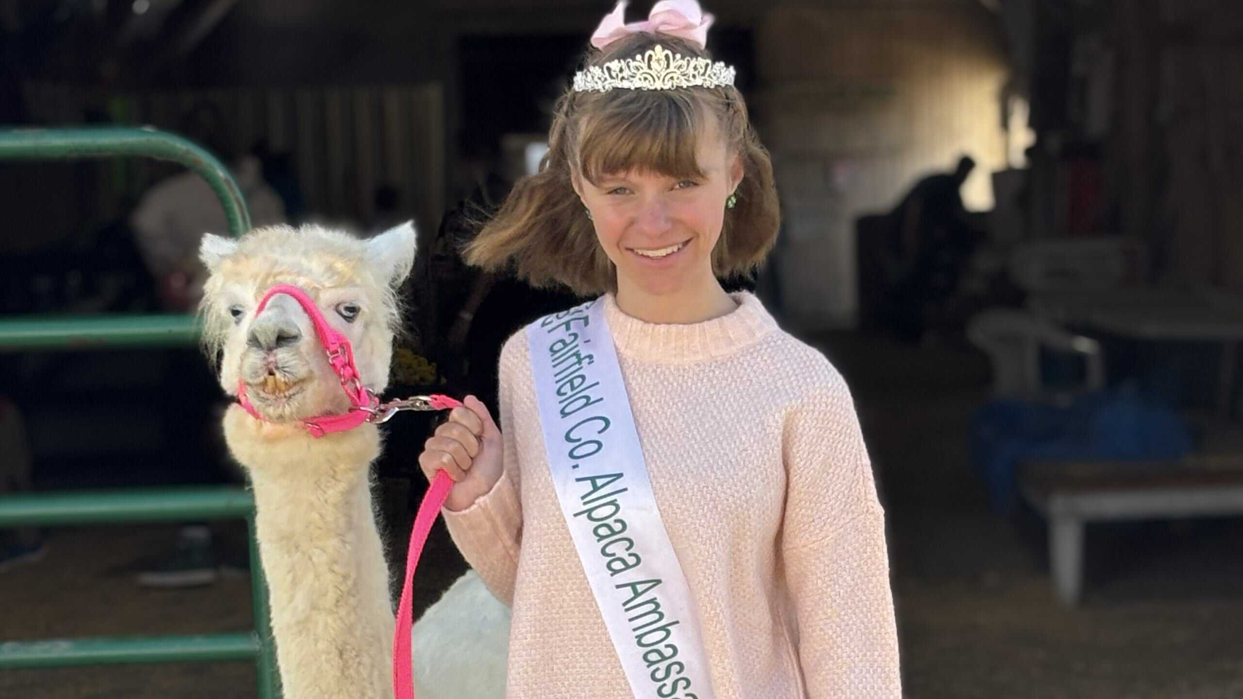 Ohio FFA Member Turns Passion for Alpacas Into Impact