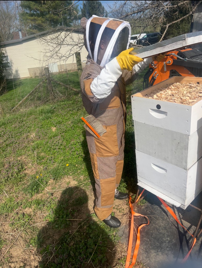 Webb inspecting the hive: hands-on learning in action through bee-keeping SAE.