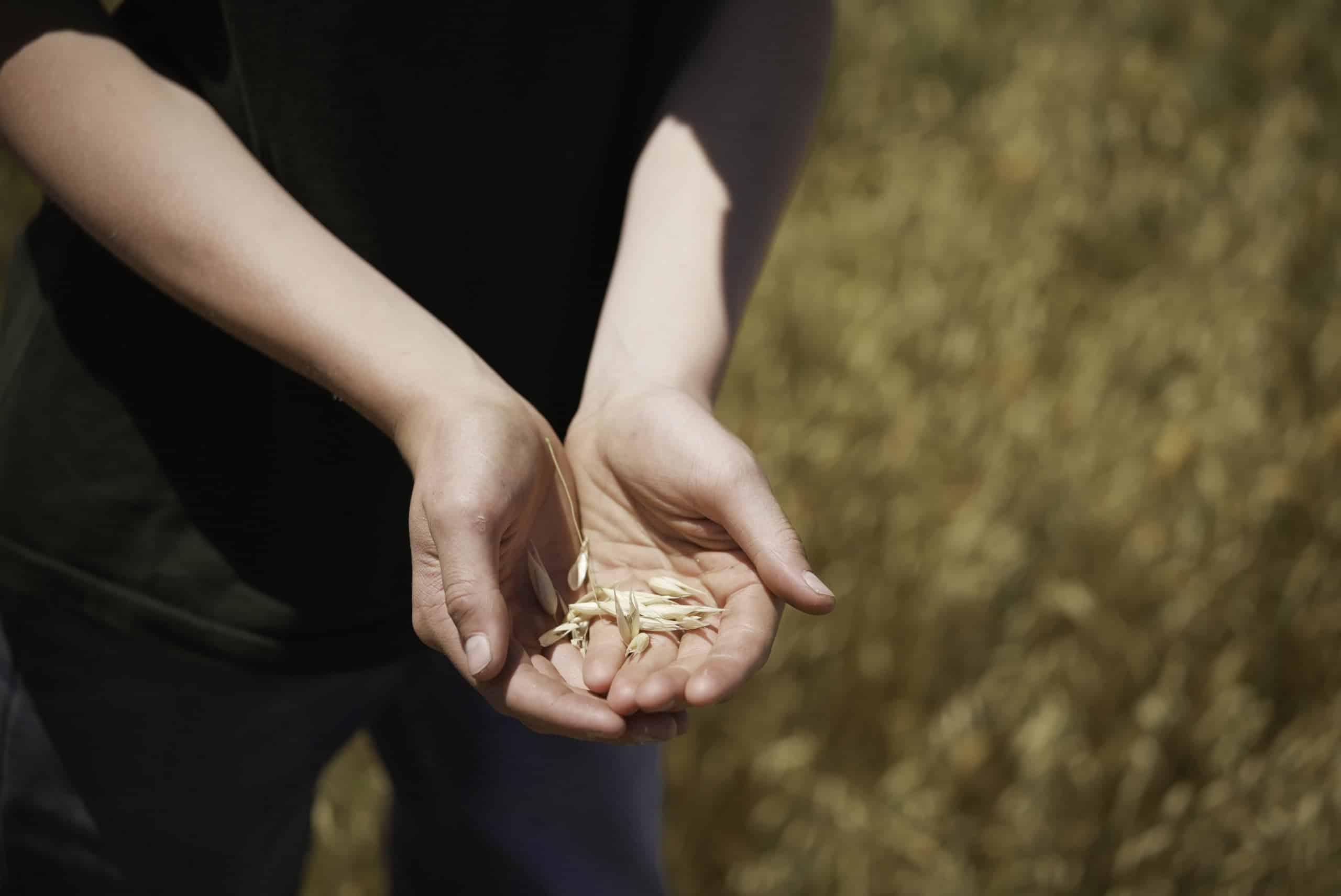 Clearing the Dust: A Conversation on Farmers’ Mental Health