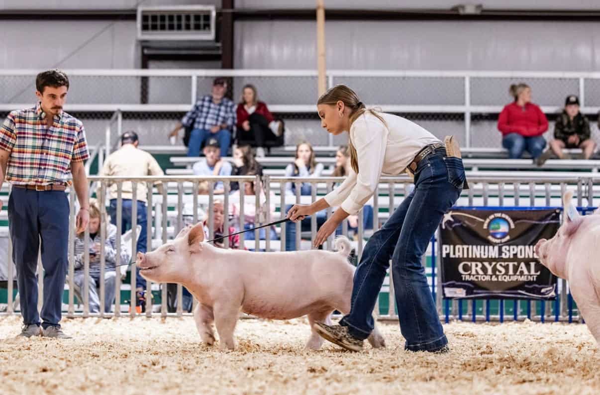 Doing to Learn: Life Skills in the Show Ring