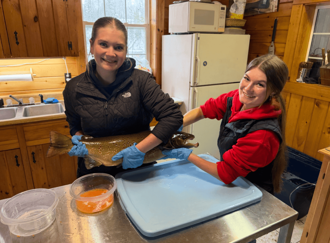 Raising the Future: Presque Isle FFA Members Support Salmon Conservation Efforts