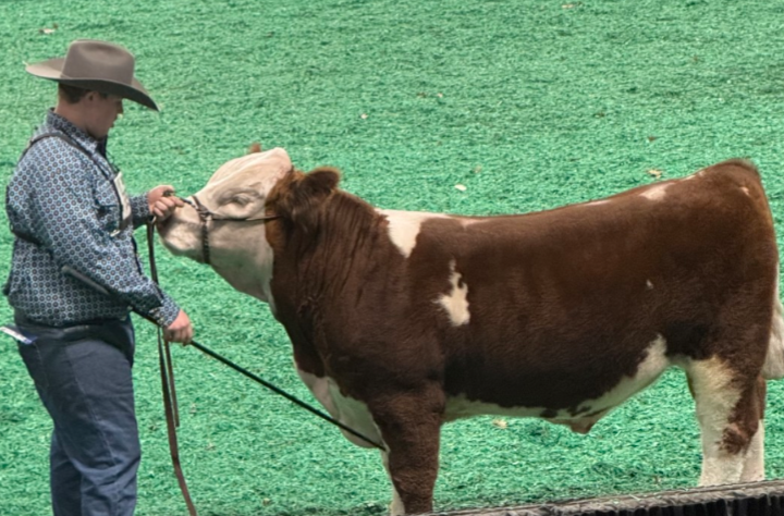 Jackson Young Gets Honored By American Angus Association
