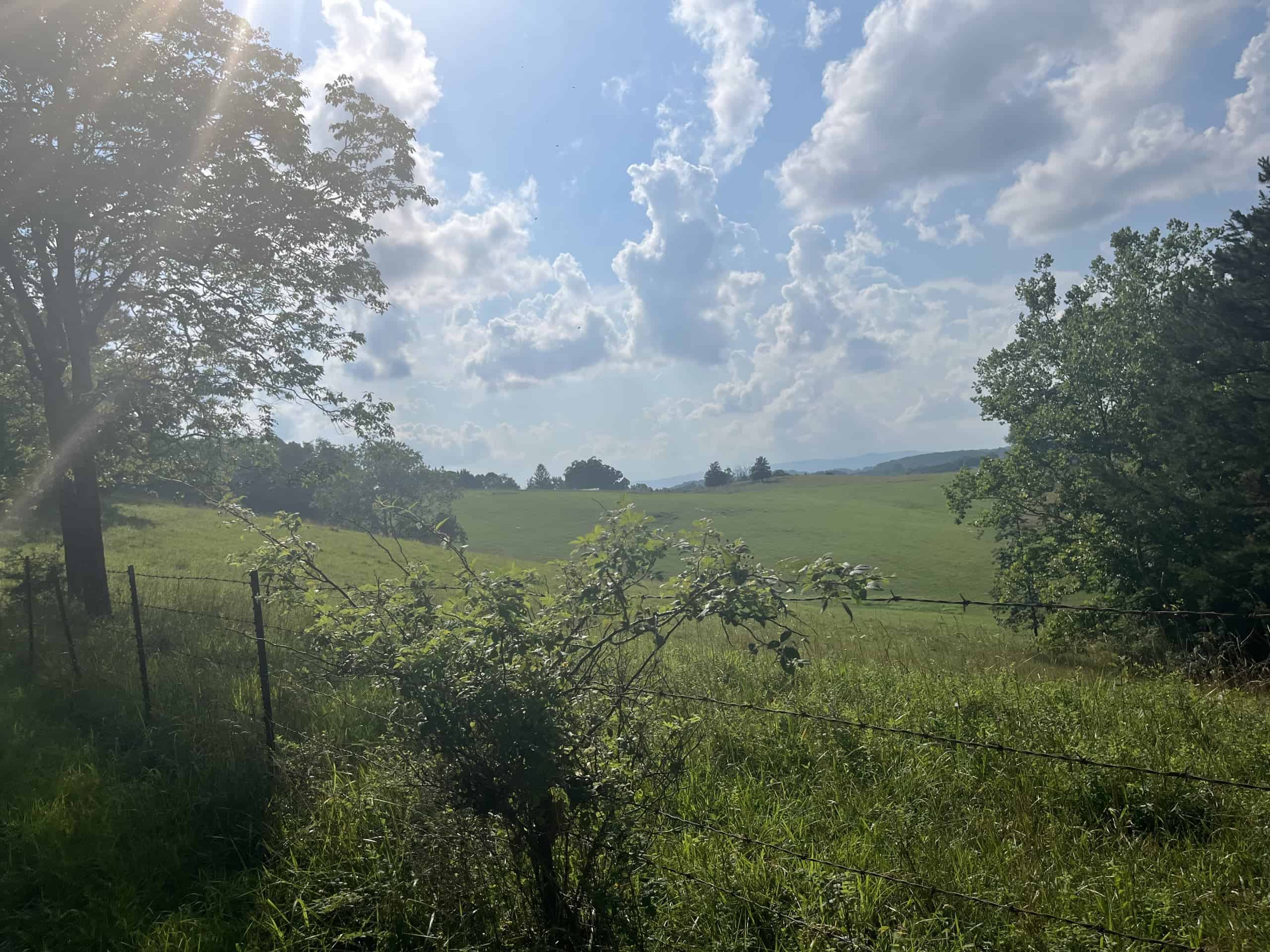 Spring Into Agriculture: What’s Happening Right Now