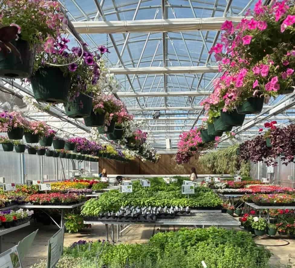 Growing Twice as Nice: WHHS Greenhouse Expansion Blooms With Community Spirit