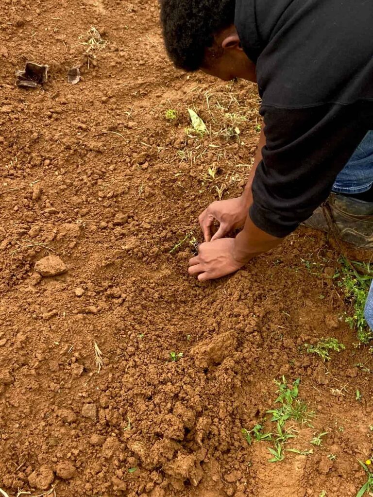 Agriculture students at Benton County are developing the skills that sets them up for success in and out of the farm.