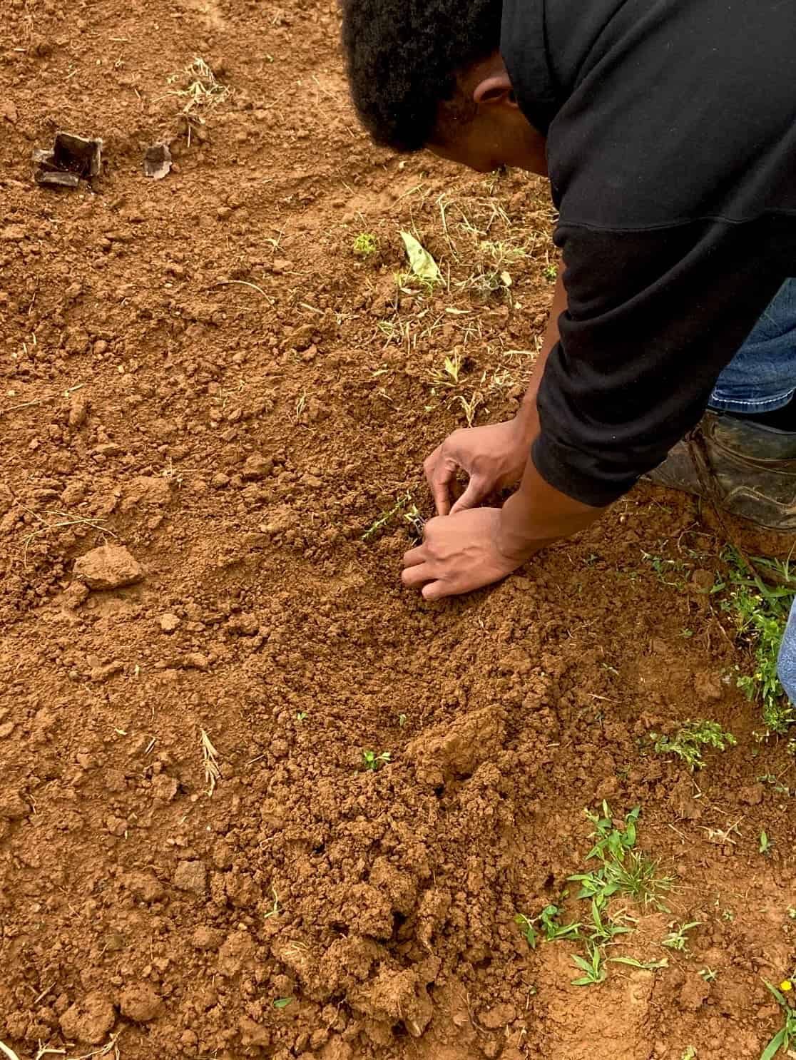 Hands-On Learning: From Hay Baling to Hatching