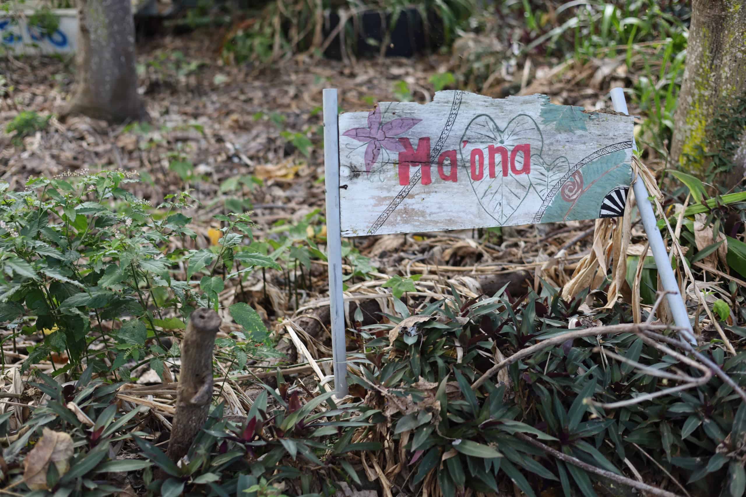 From Waste to Growth, and From Growth to Giving