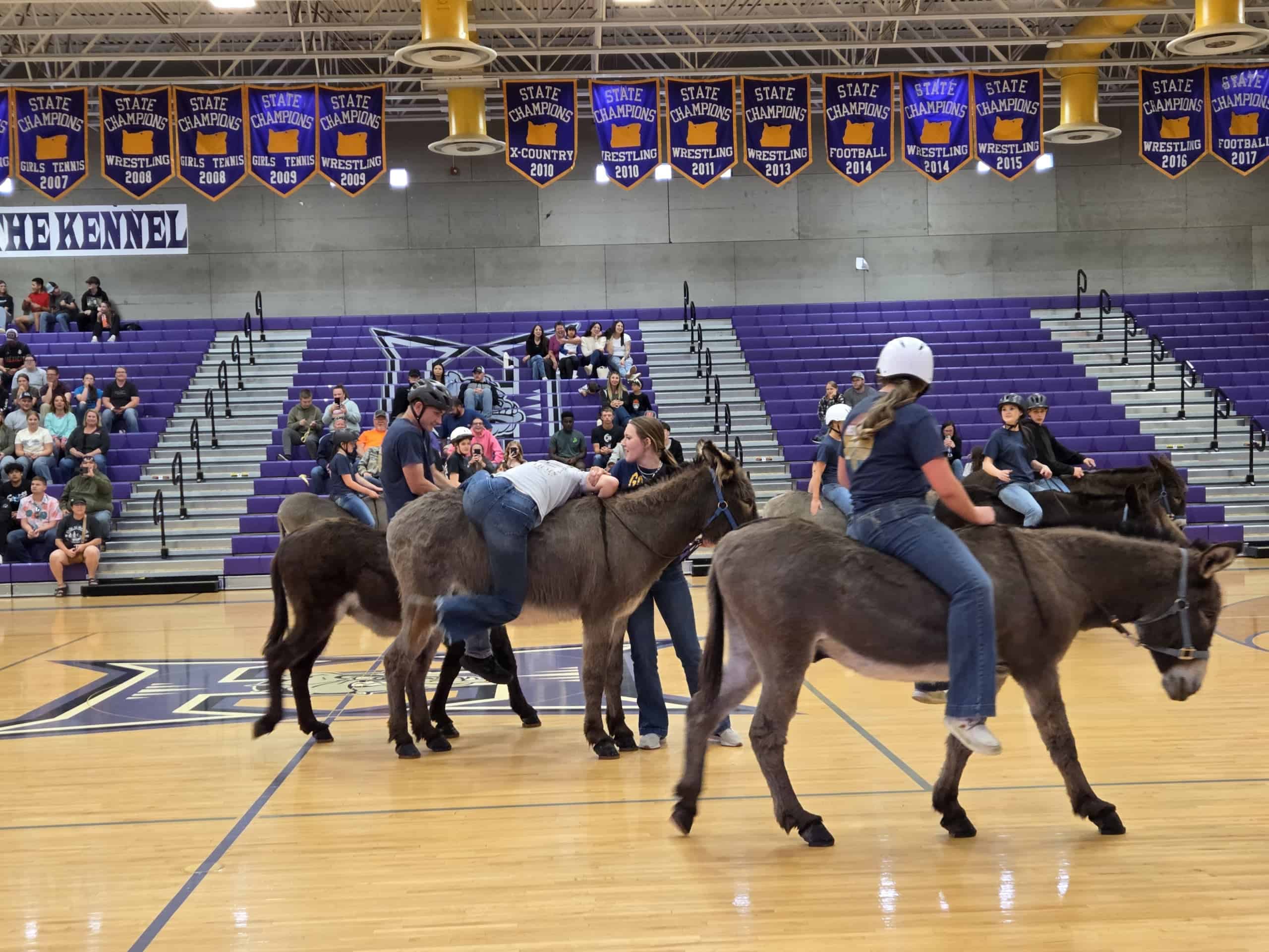 Donkey Basketball: A Hermiston FFA Tradition