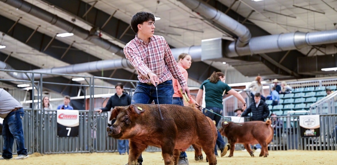 How FFA Has Changed My Life