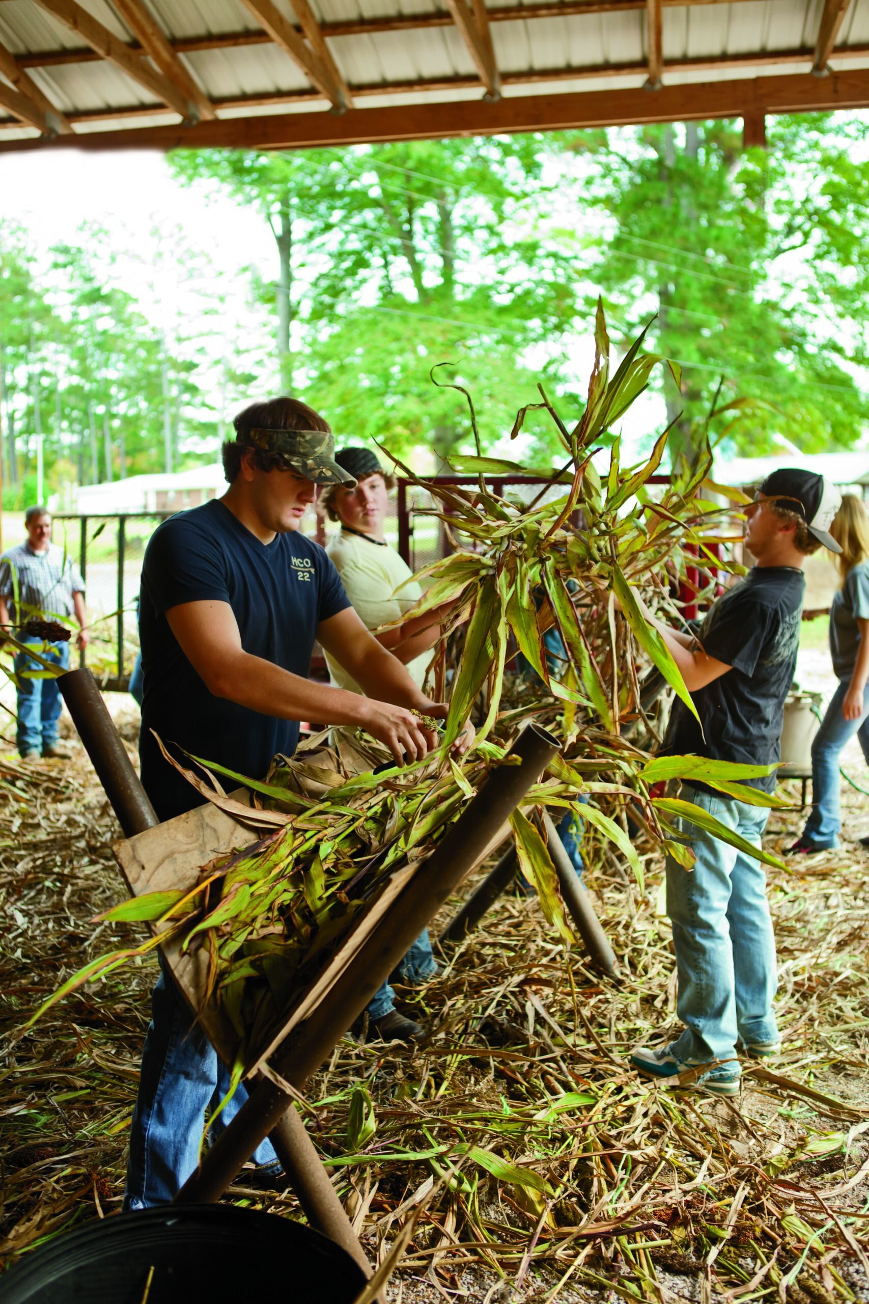 Natural Resources Systems Resources