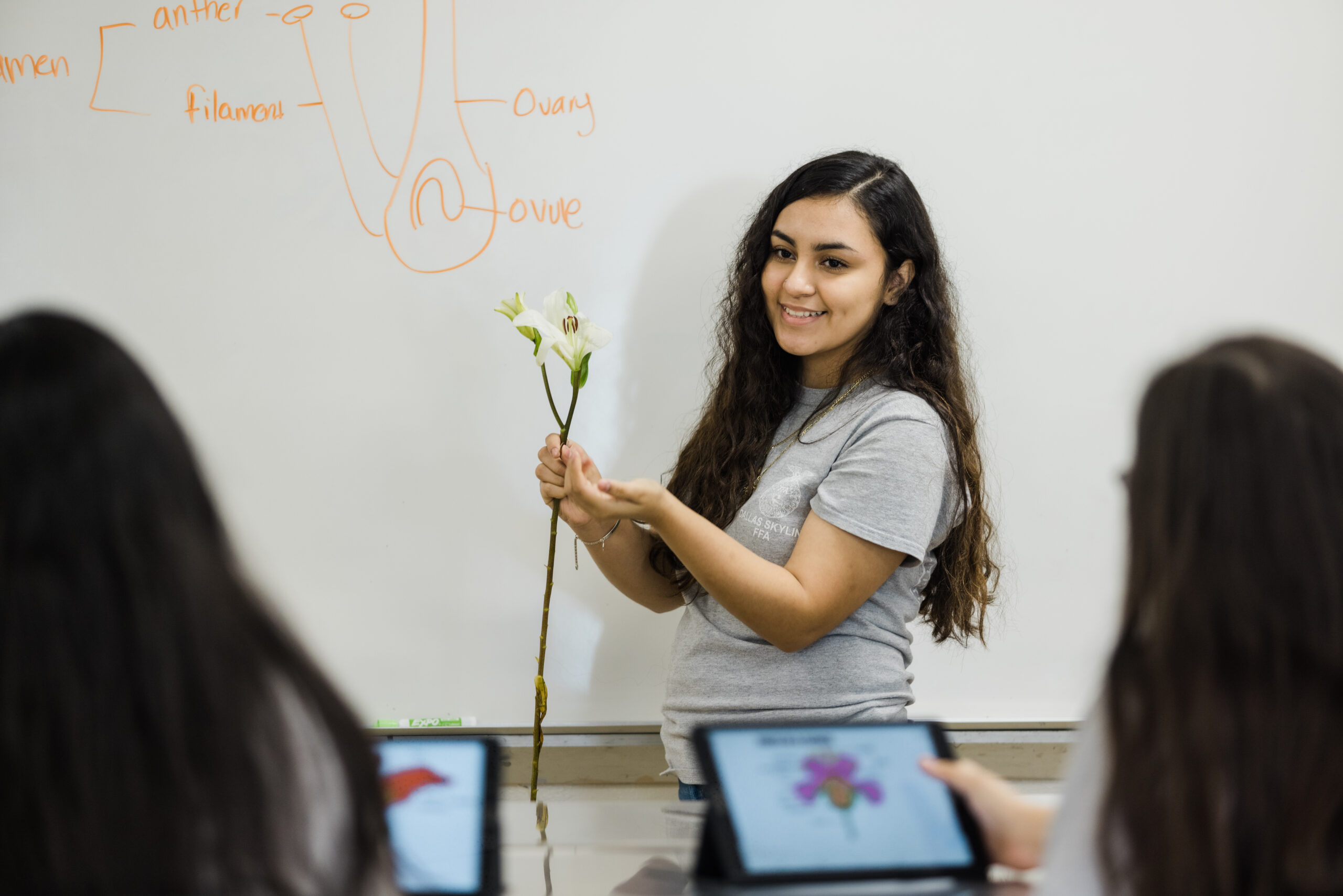 Substitute Teacher Plan – SAE (5-Day – Option 1)