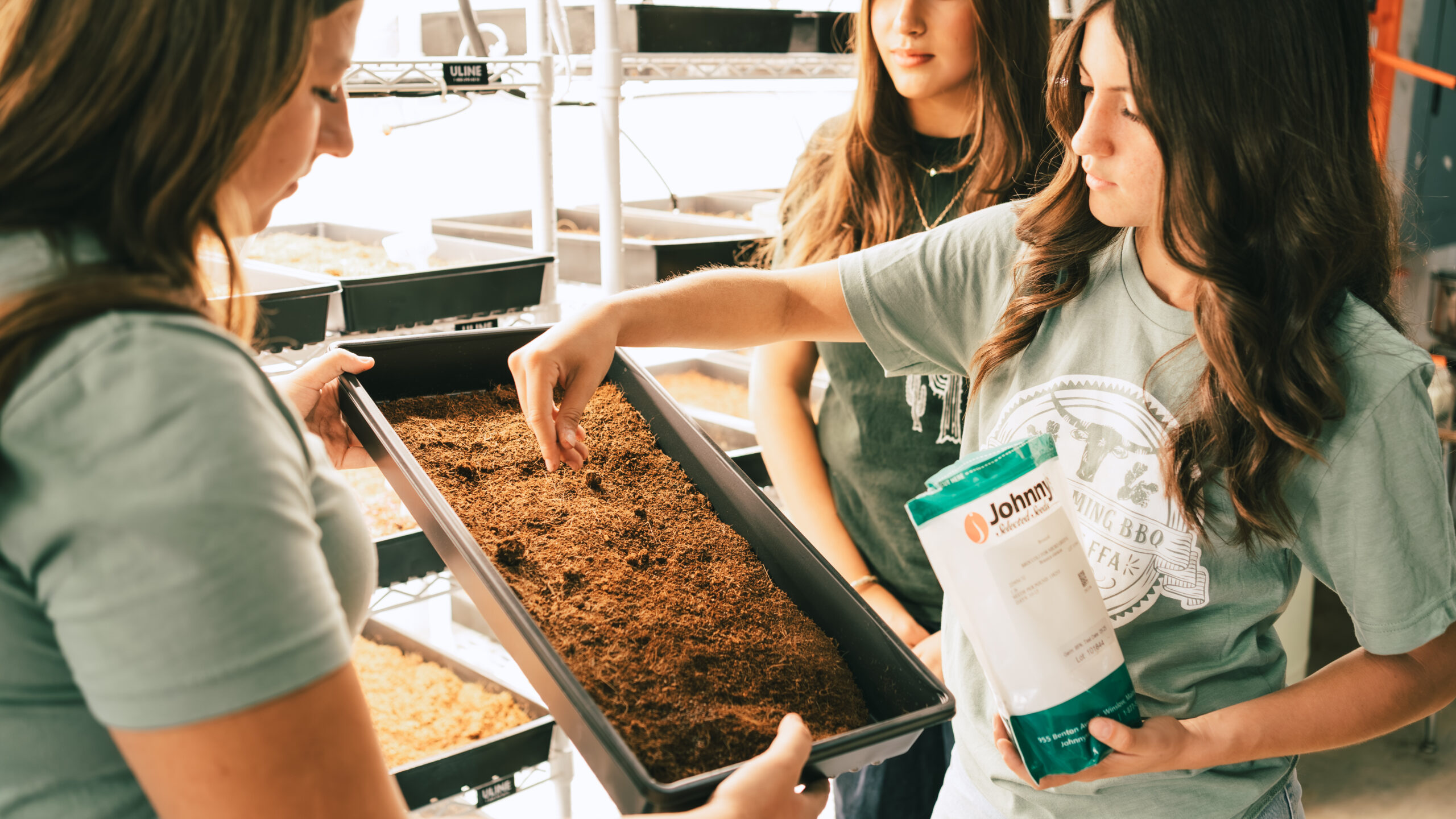 LTS Grants_ Environmental Responsibility