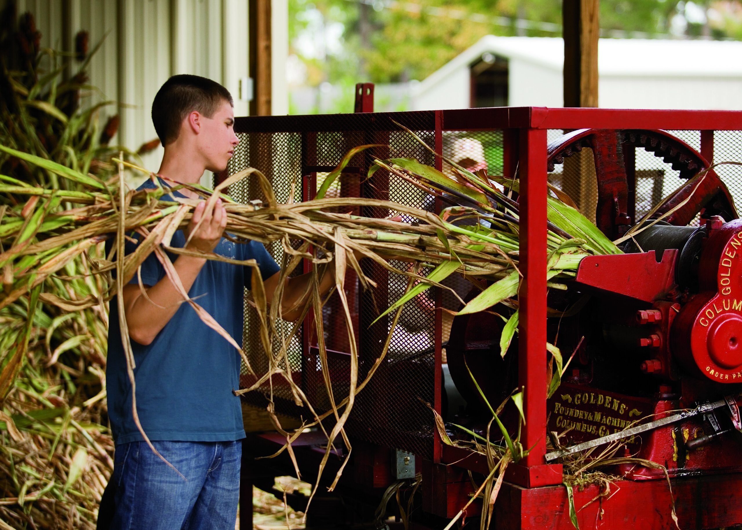 Indiana Agricultural Education Classroom Enhancement Grants – 2023 Impact