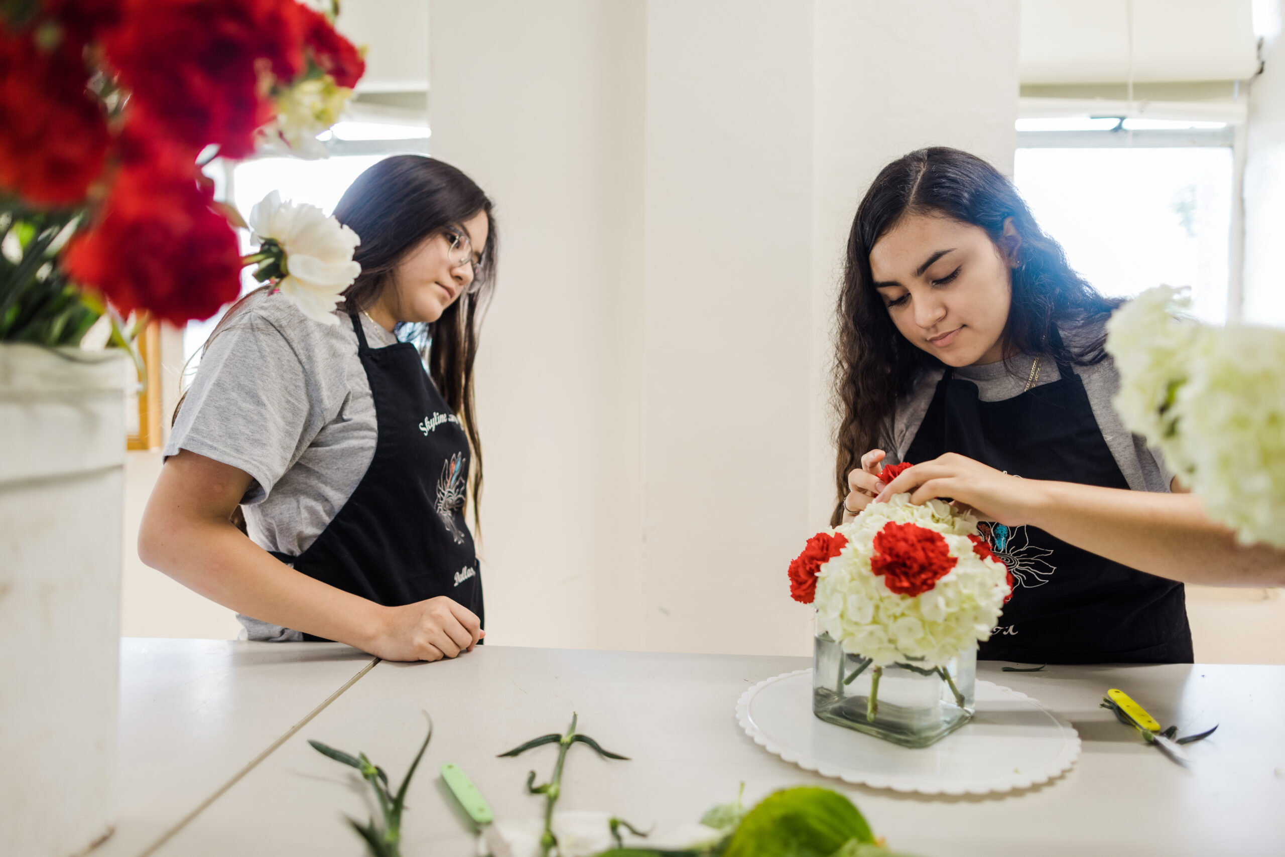 Floriculture_CDE