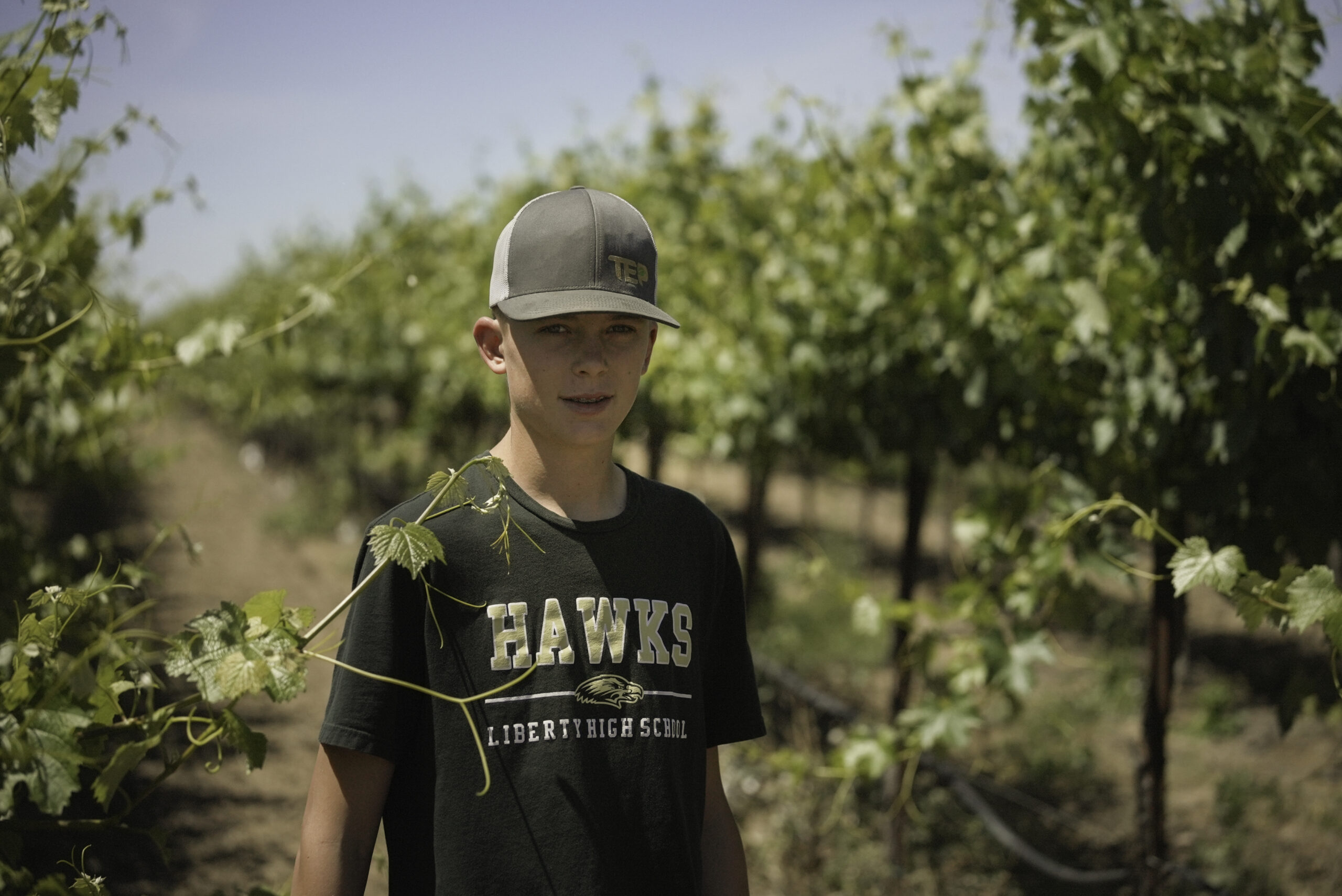 Student Activity Sheet – A Vineyard for a Classroom