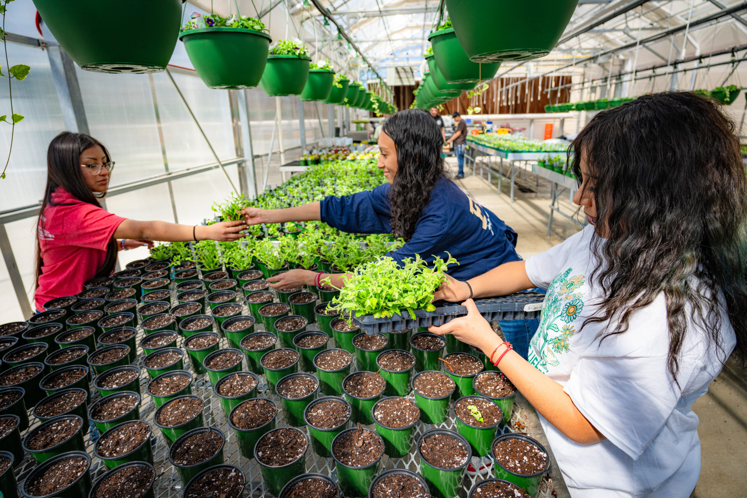 Substitute Teacher Plan- Plant Systems (Five-Day- Option 1)