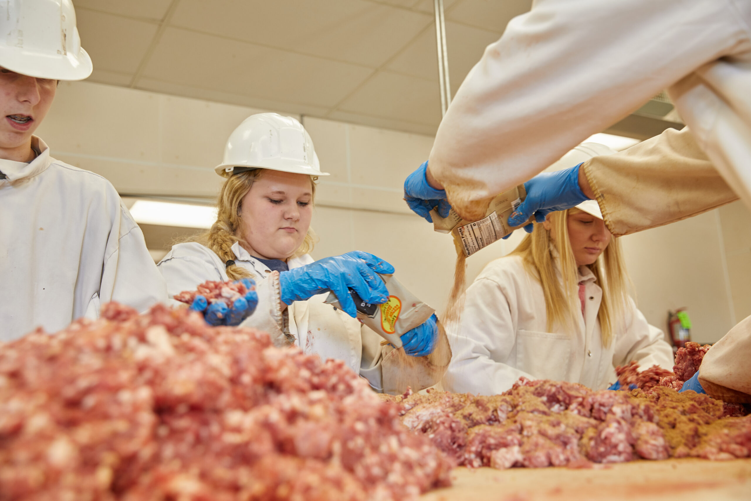 The Processing Plant
