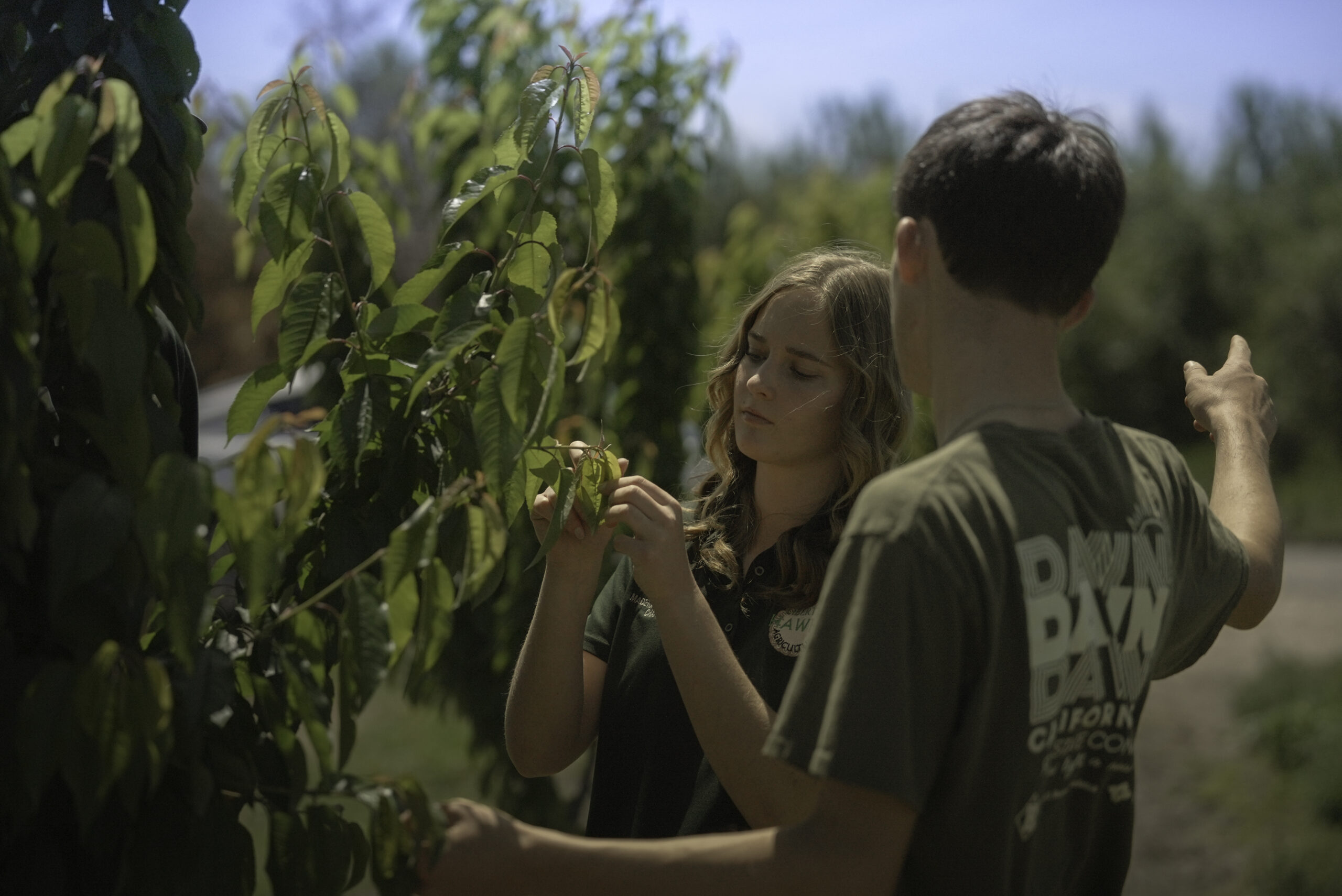 Article-Try Something New With Your SAE
