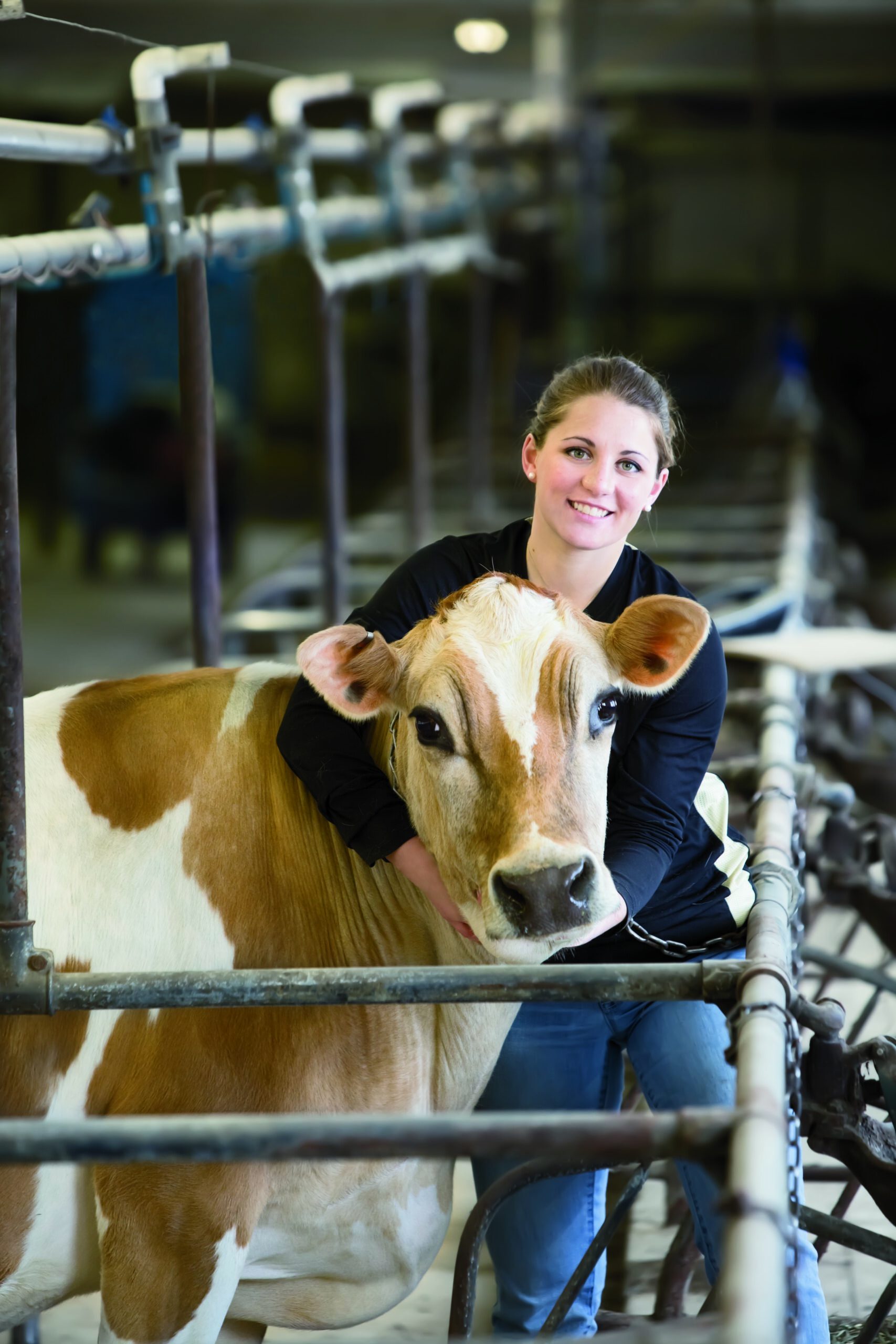 Appendix 8_ Devoted to Dairy Strong