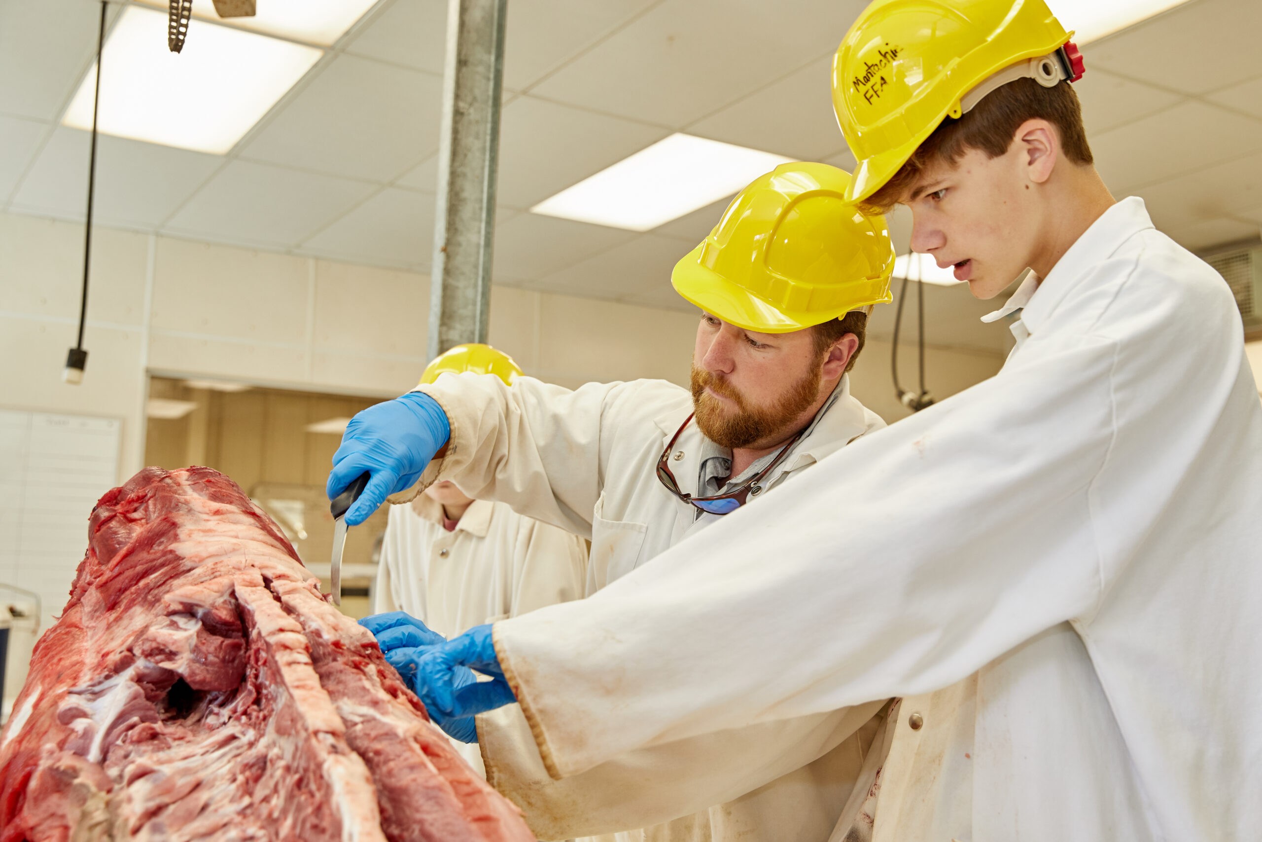 HACCP Principle 5