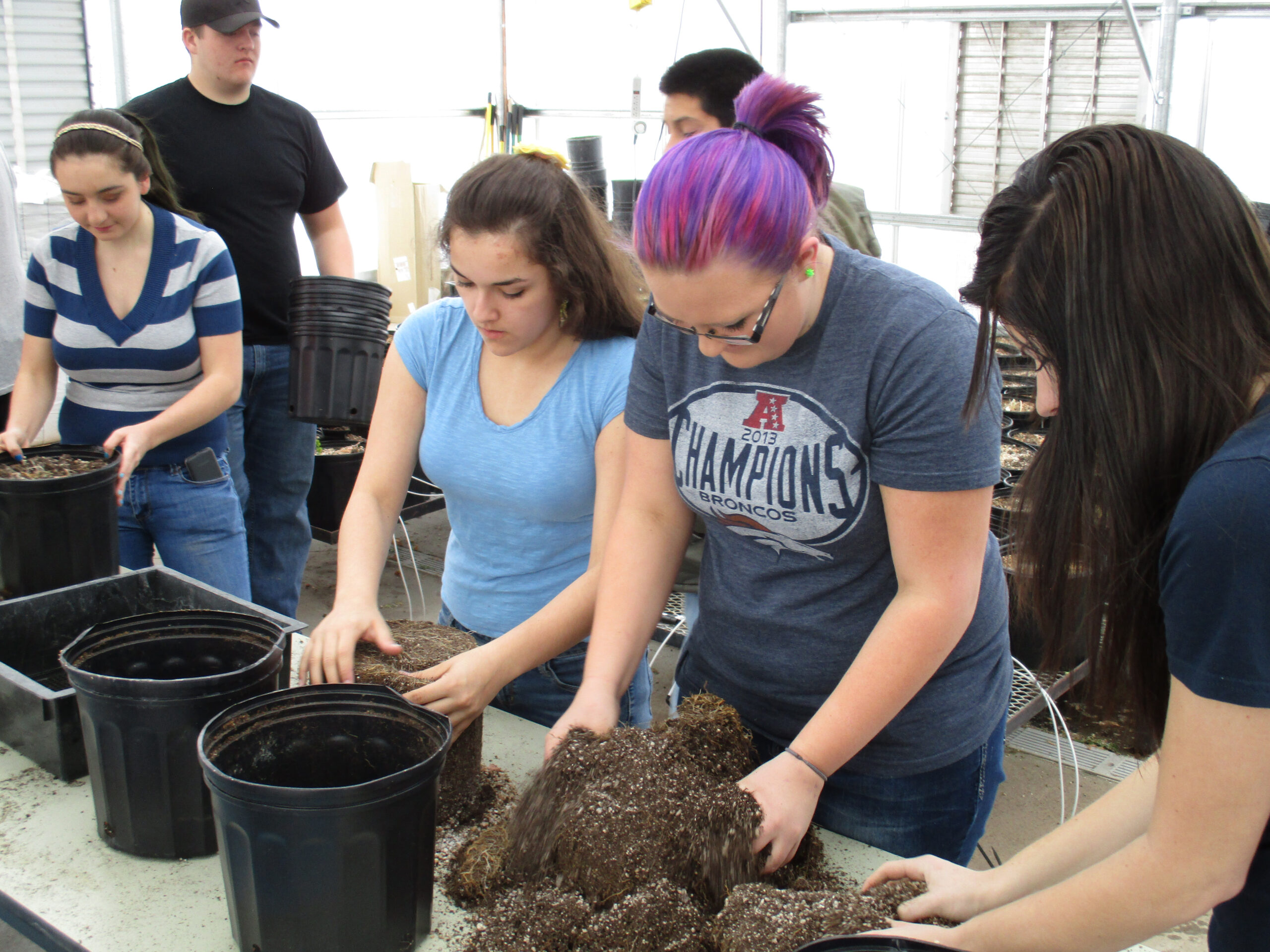 Article-The FFA Roots of a Garden Party