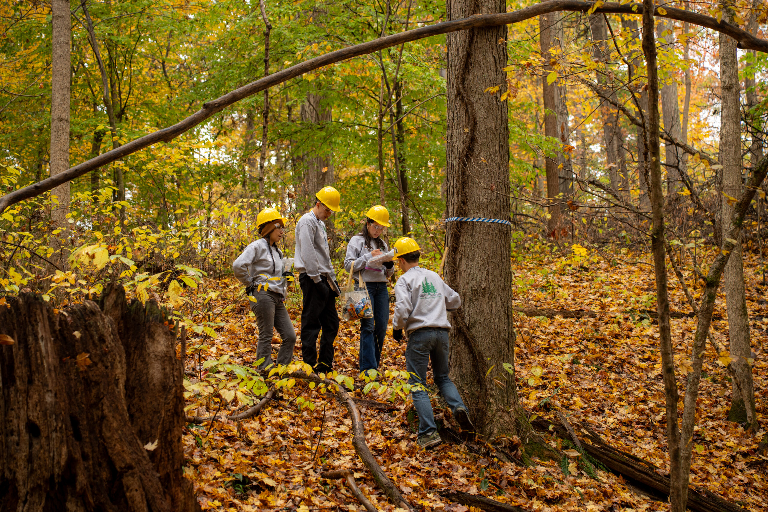 Appendix 10-Future of Forestry