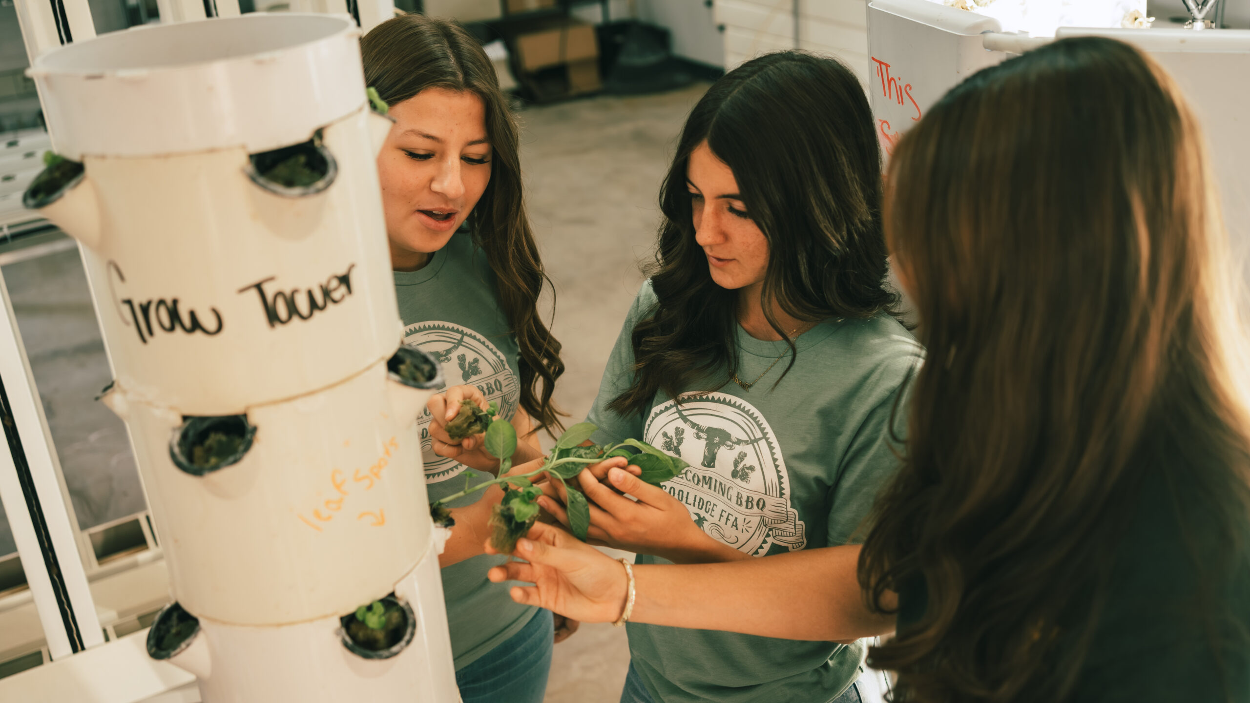 Article – High Tech Gardening