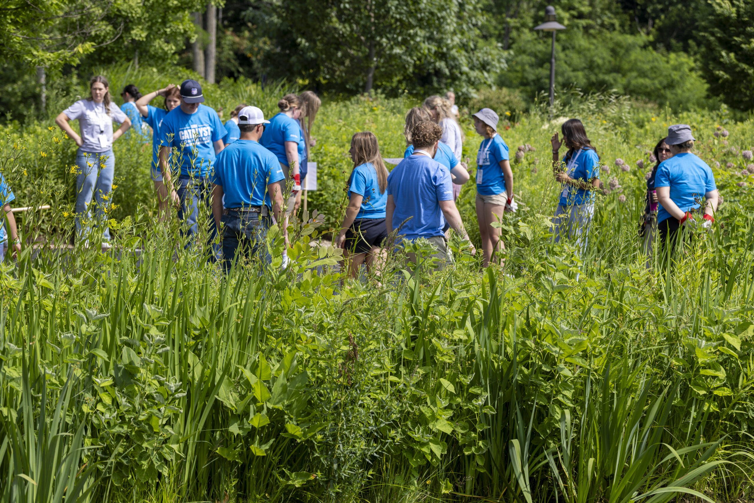 Student Activity Sheet_Appendix 7_Bulrush in the Bayou