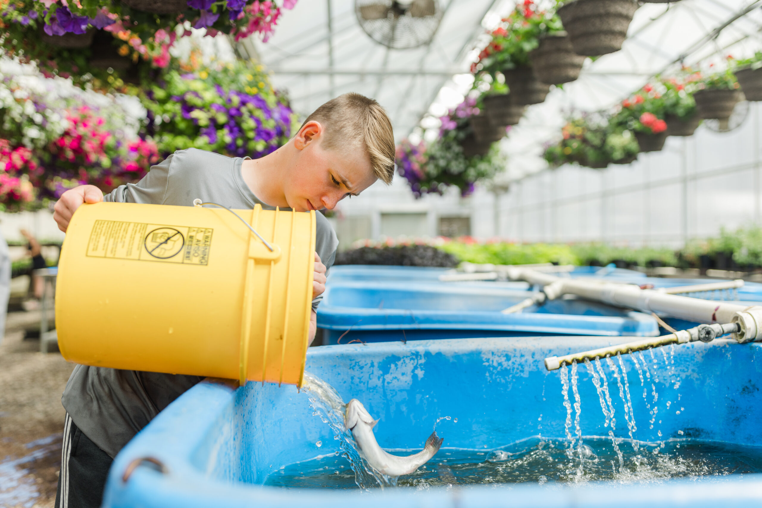 Student Activity Sheet_Diving Into an Agriculture Career With No Ag Background